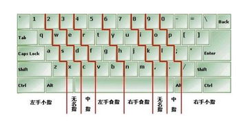 盲打初学者熟悉键盘 盲打键盘打字手指口诀